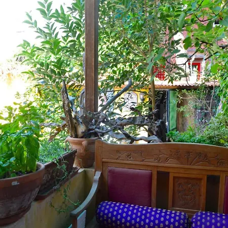 Secret Garden In Lido *