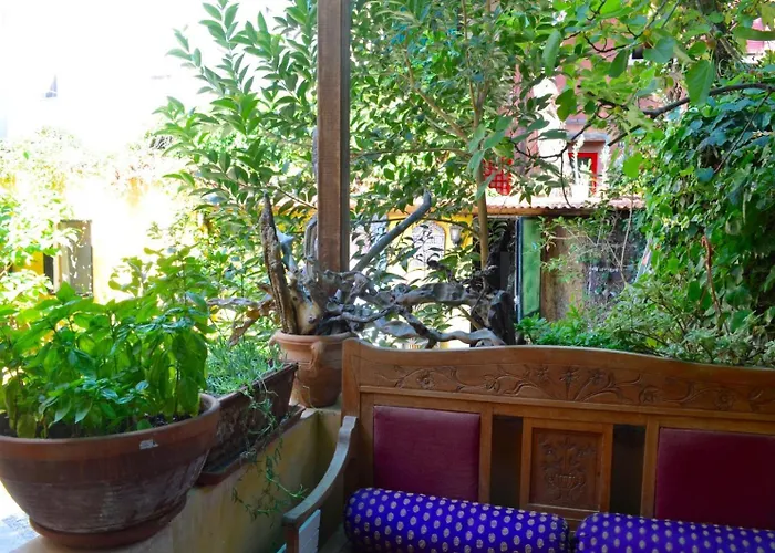 Secret Garden In Lido *